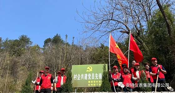 党建强引领，共植先锋林